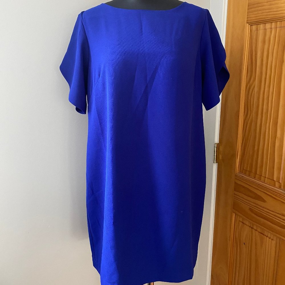 Flutter sleeve shift dress in royal blue